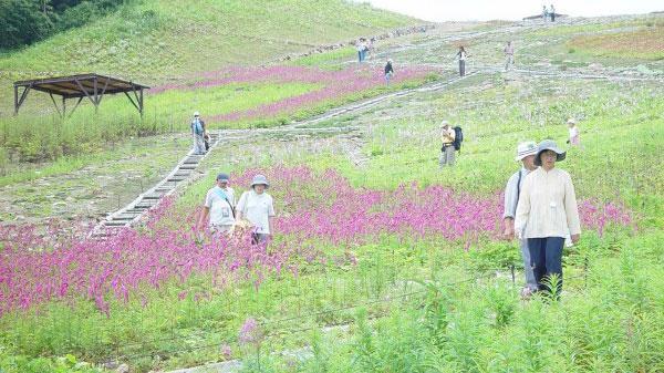 Pals Inn Raicho Hakuba Esterno foto