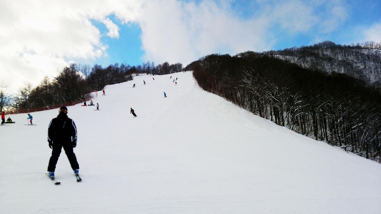 Pals Inn Raicho Hakuba Esterno foto